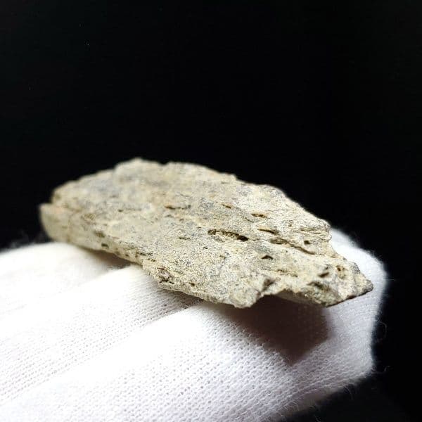 ティラノサウルス 化石 骨 本物 アメリカ産 54.80mm tb87