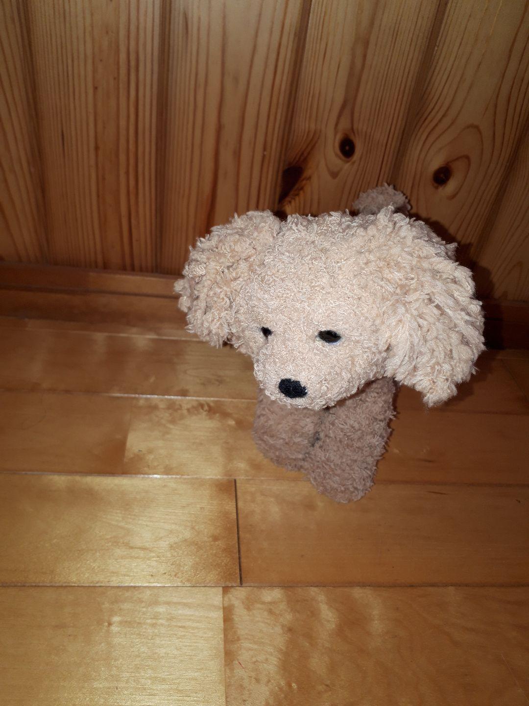 サイズの参考に！腹巻きのトイプードル　羊毛フェルト