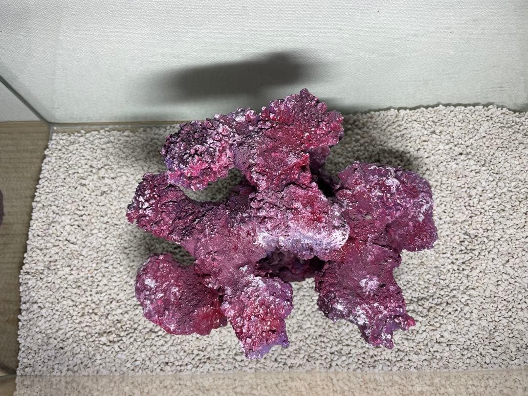 人工ライブロック　SHR24 アク抜き済み安心塗料使用