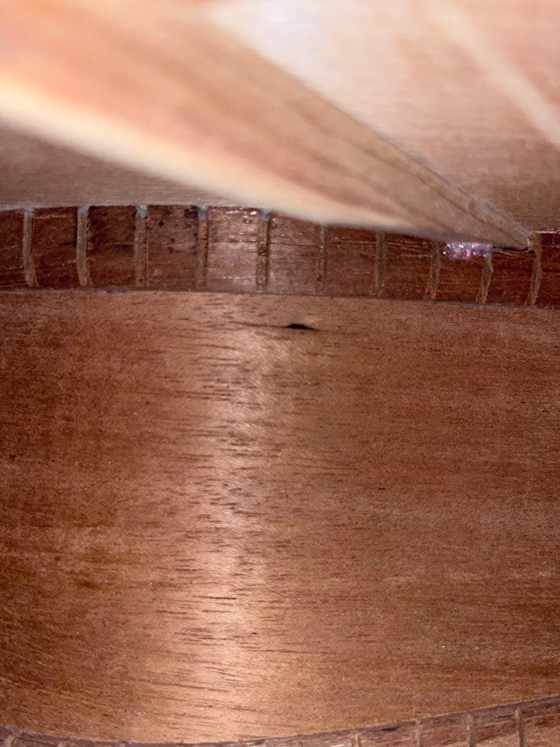 アコースティックギター ハードケース付き　AriaDreadnought