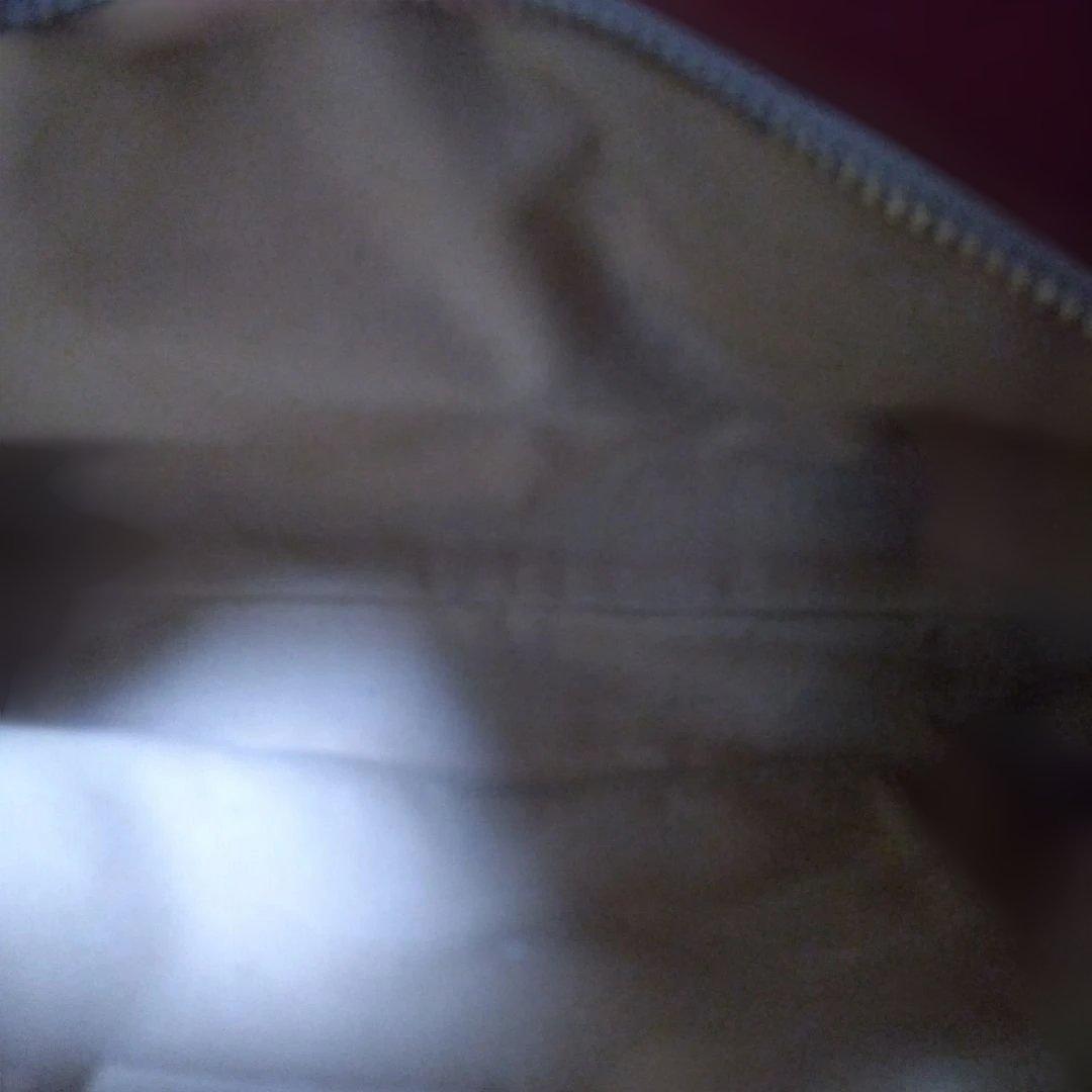 1*8様 Salvatore Ferragamo ハンドバッグ アニマル マルチ