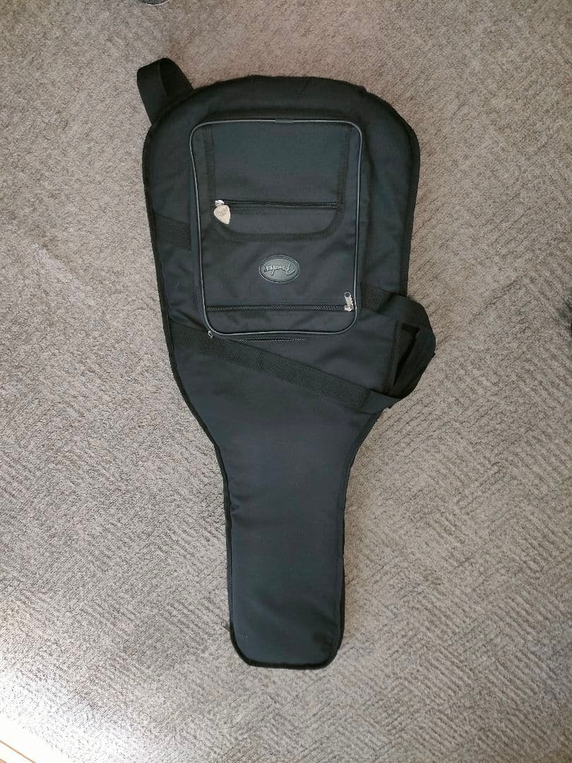 Bacchus SGS-ASH RSM　フレット90%以上 グローバルシリーズ