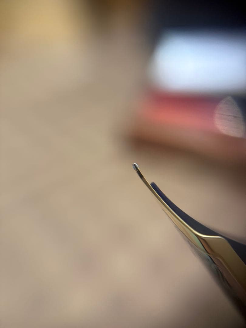 パイロット万年筆845、朱漆