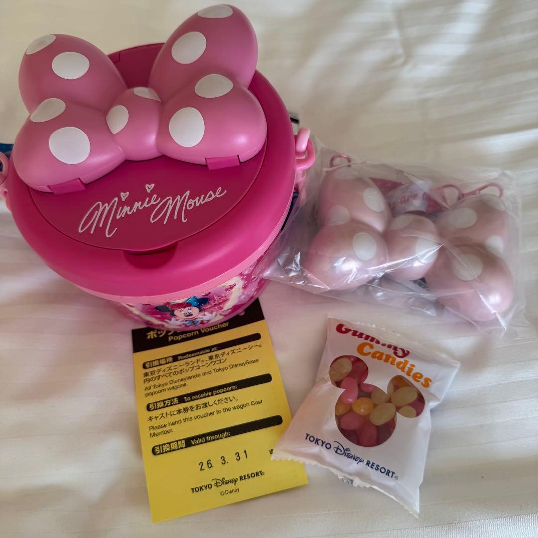 ミニーのファンダーランド　ポップコーンバケットスナックケースグミ付
