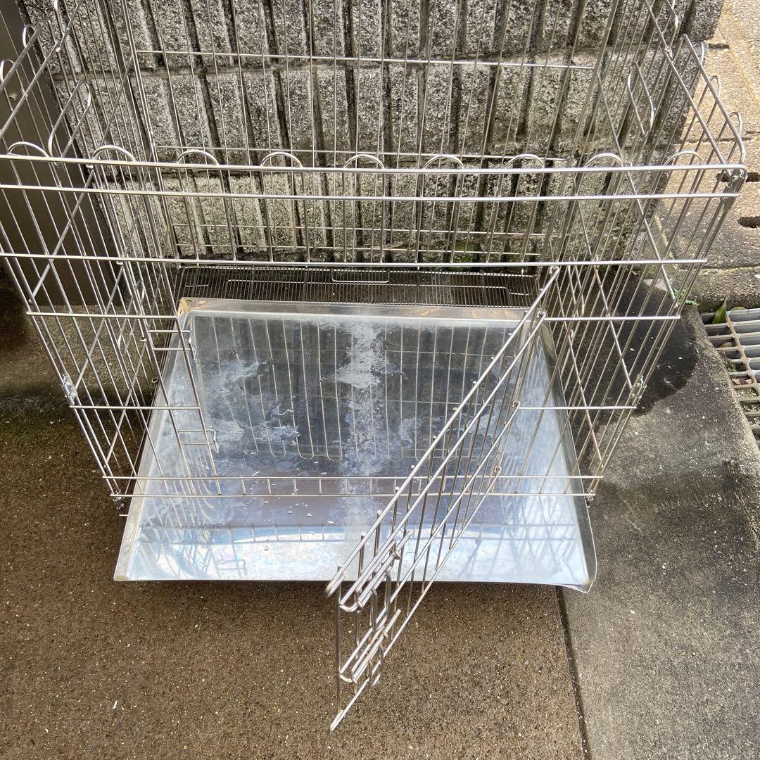 ターコイズブルー