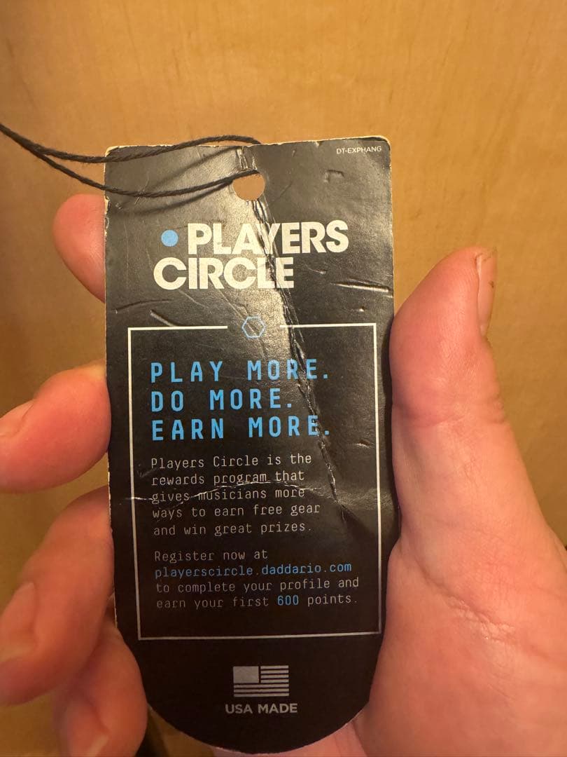 Stafford & Co エレキアコースティックギター