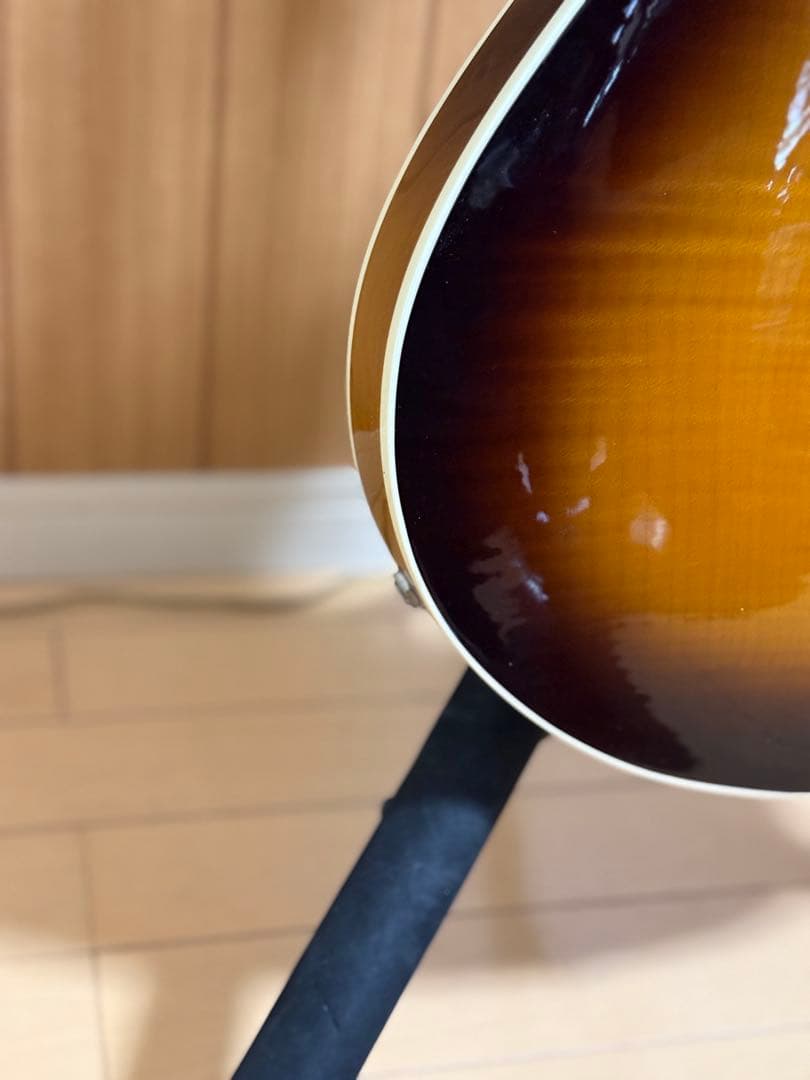 T’s guitars Arc Hollow Jazz