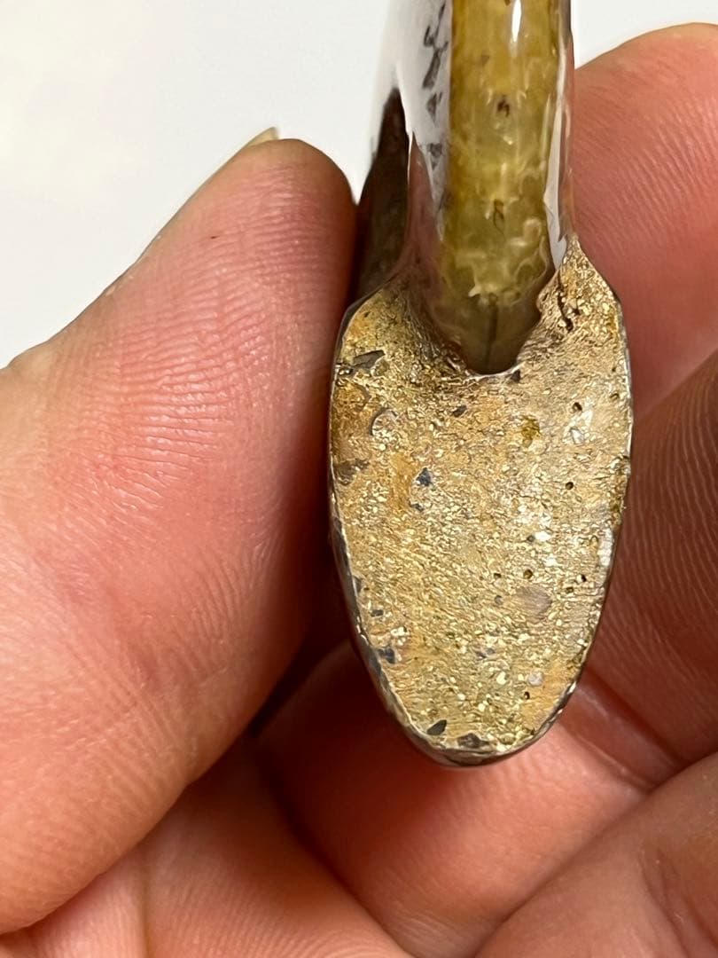 カナダ・アルバータ州産オパール化アンモナイト　ファイヤーアンモナイト約30.6g