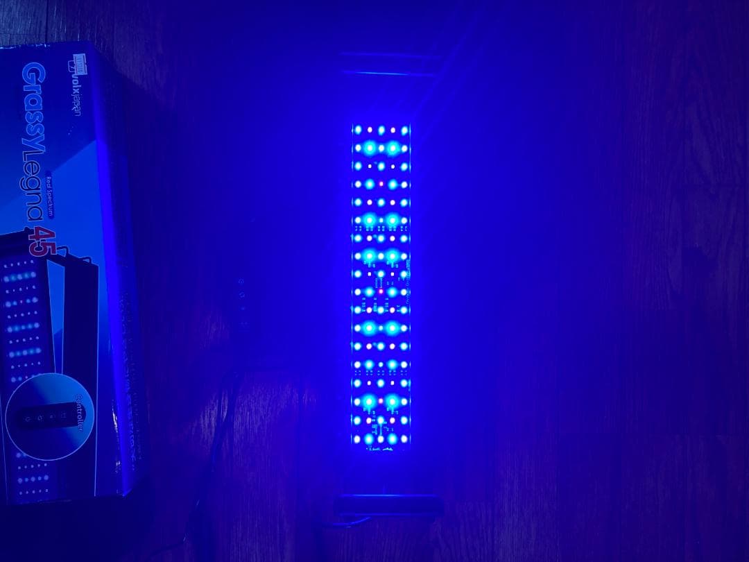 ボルクスジャパン　グラッシー　レグナ　マリン　45 LED 海水魚