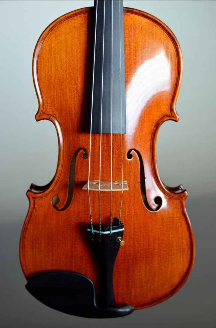 【最上位 新品】Gliga Vasile Maestro バイオリン 4/4