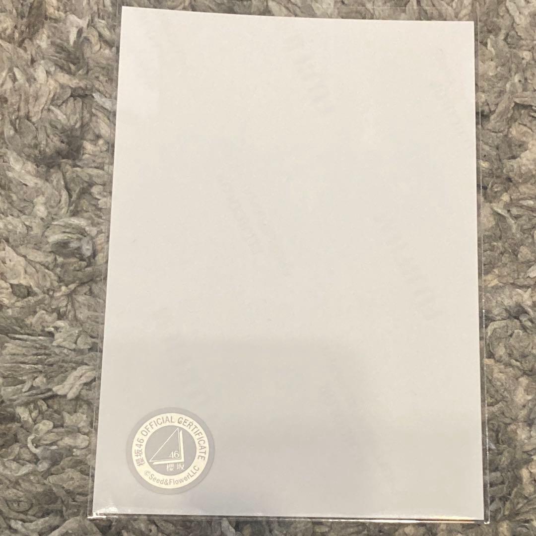 松田里奈 直筆サイン入り 2024年 クリスマスサンタ衣装