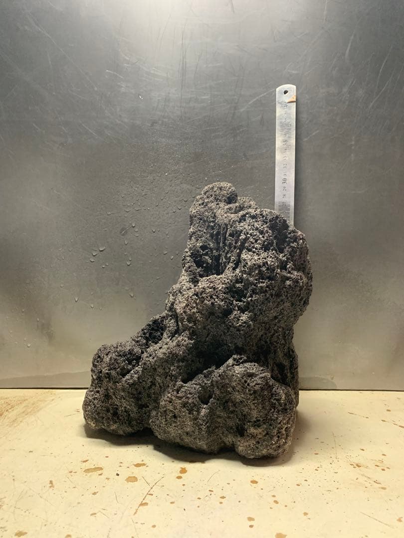 1[絶版]ADA雲山石★穴3個　水槽　石組　アクアリウム　レイアウト　熱帯魚