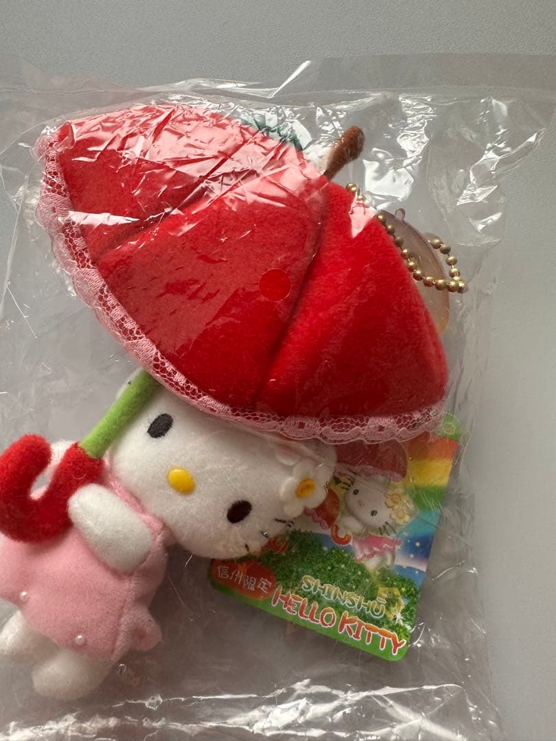 ミク高校入試 超効率 中学社会100+資料30 赤シート付ご当地キティ