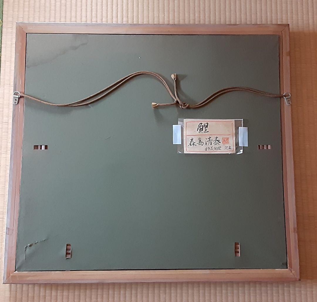 日本画　森島 清泰 　鯉　肉筆紙本