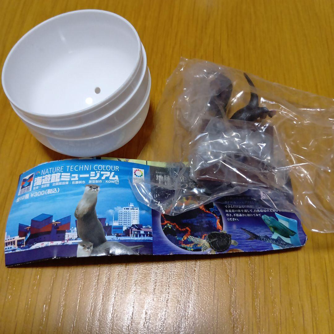 ネイチャーテクニカラー フィギュア 海遊館ミュージアム限定　全12種　新品