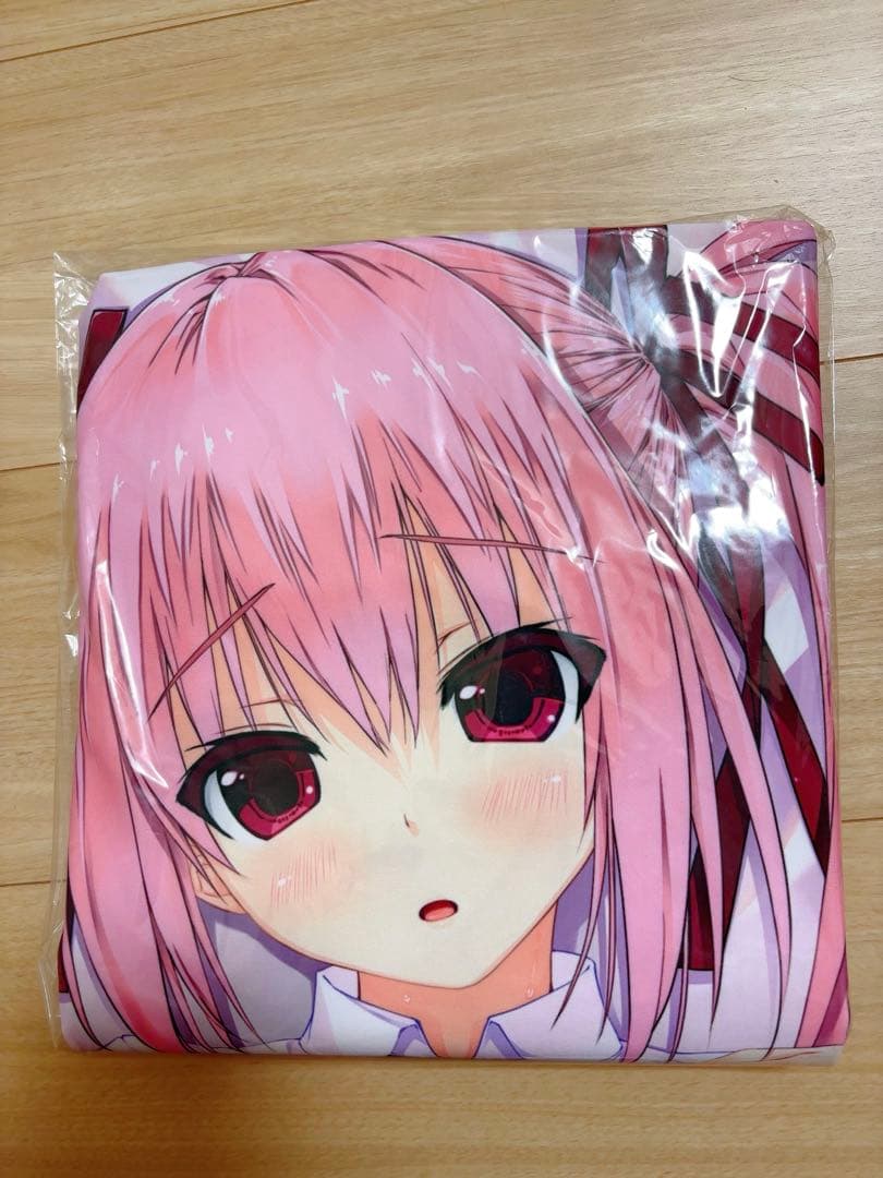 希少　新品　しんたろー　X-RATED抱き枕カバー 電撃萌王2017年8月号通販