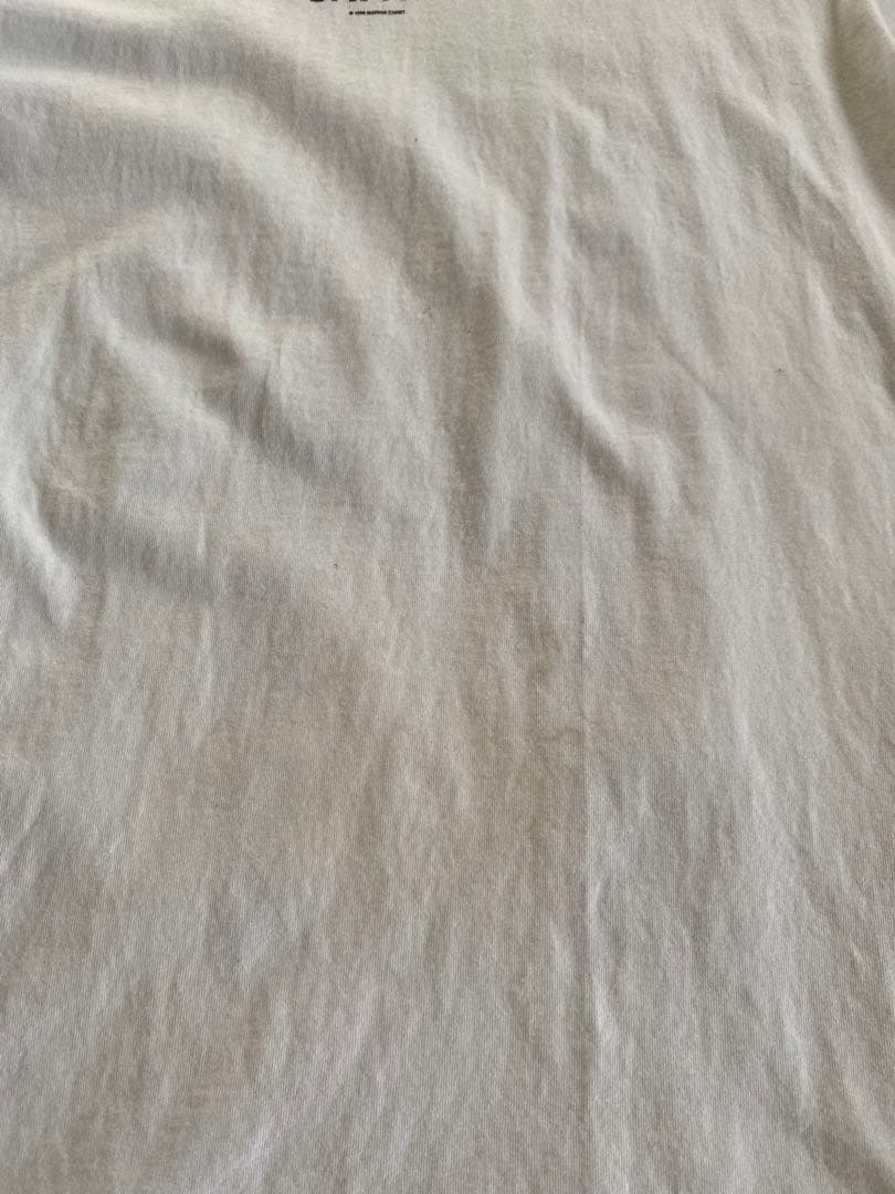 ［超希少］Mariah Carey Daydream Tour Tシャツ