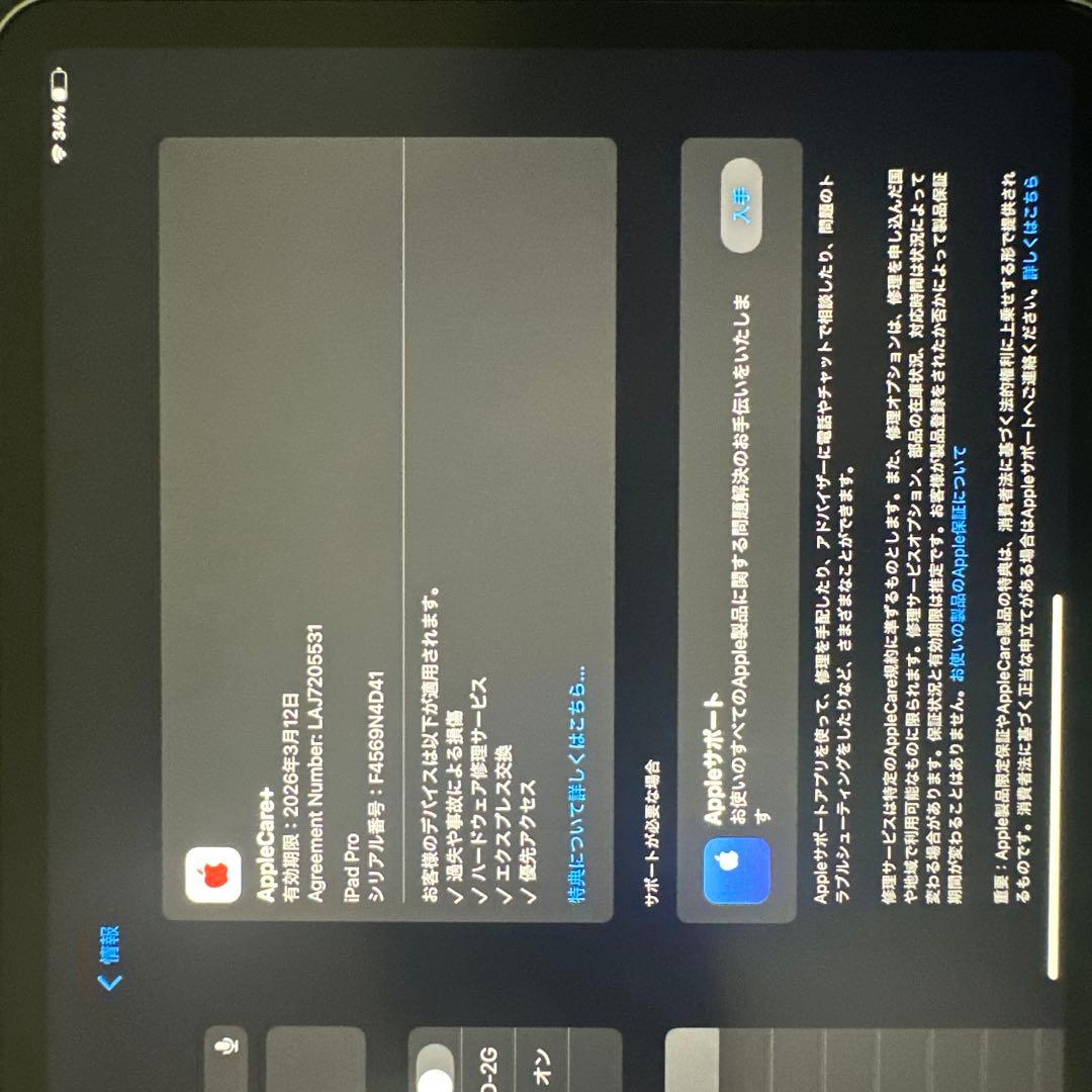 Apple iPad Pro 11インチ シルバー 本体