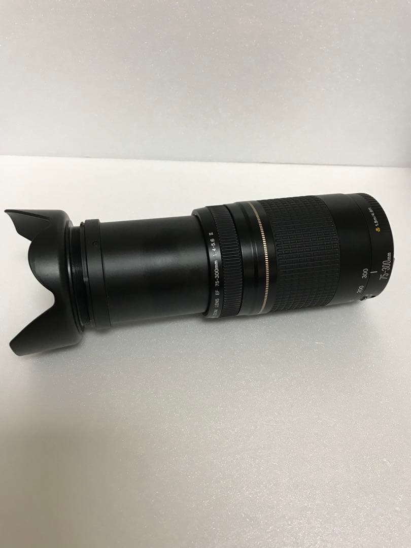 運動会/キャノン/イベント/Canon EF75-300㎜ F4-5.6 II