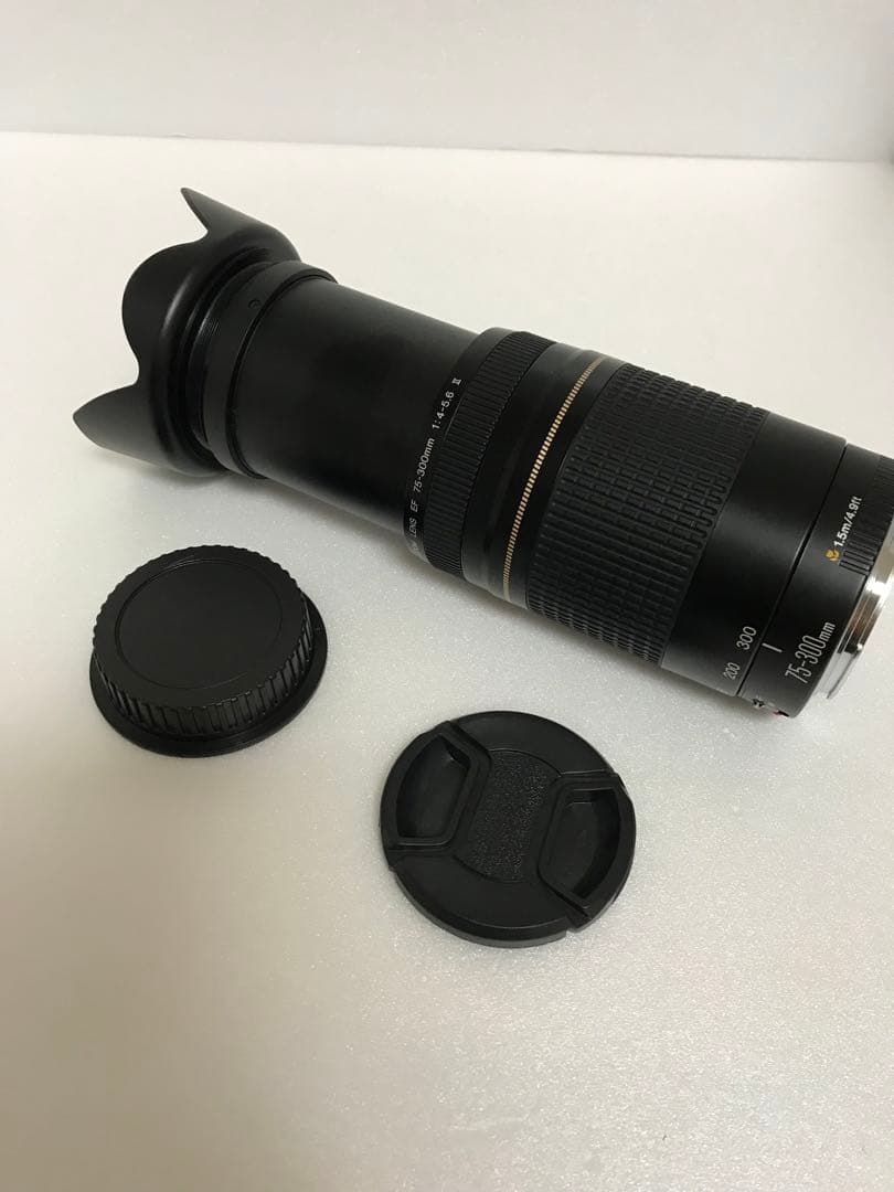 運動会/キャノン/イベント/Canon EF75-300㎜ F4-5.6 II