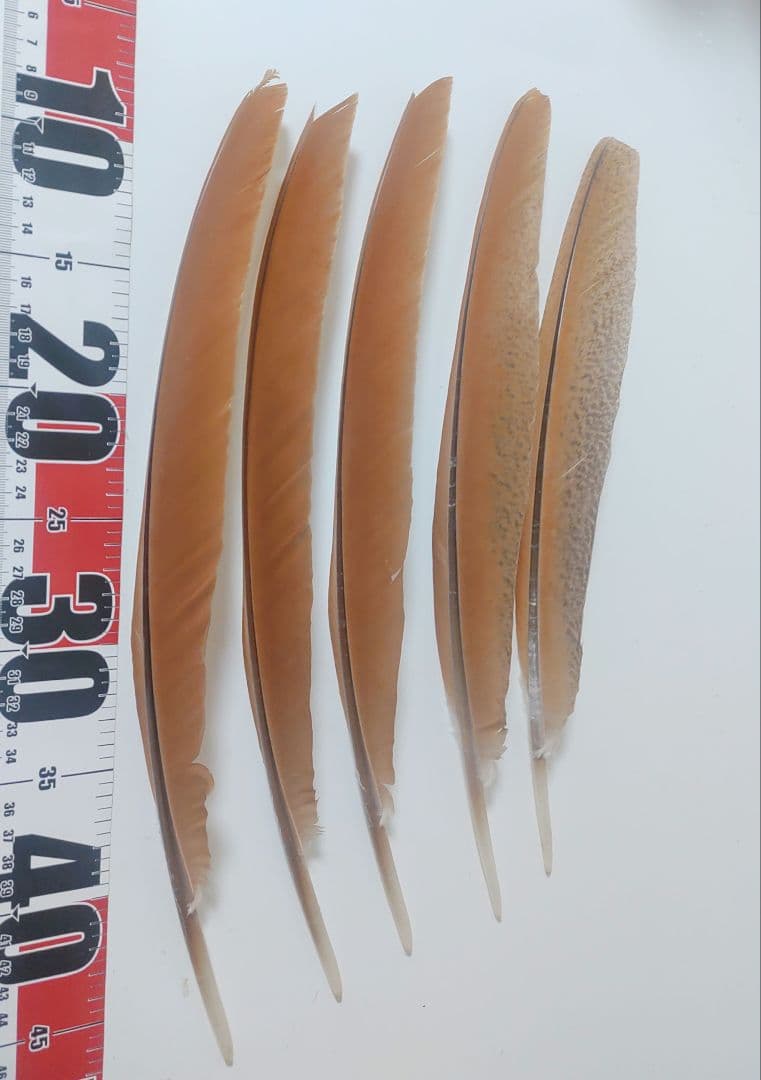 メル94348様 リクエスト 2点 まとめ商品