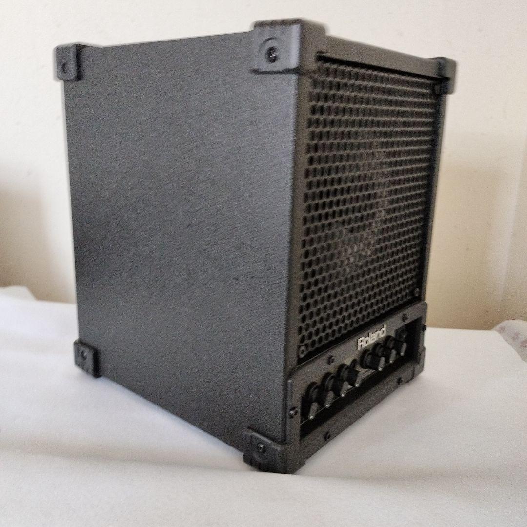 その他 Roland CM-30 CUBE MONITOR