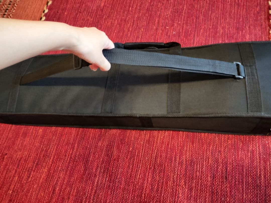 付属品充実！二胡本体と一式 ケース・教本DVD付き