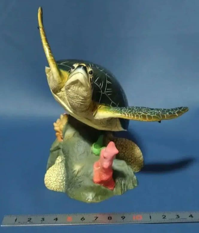 海洋堂　Naturetales アオウミガメ