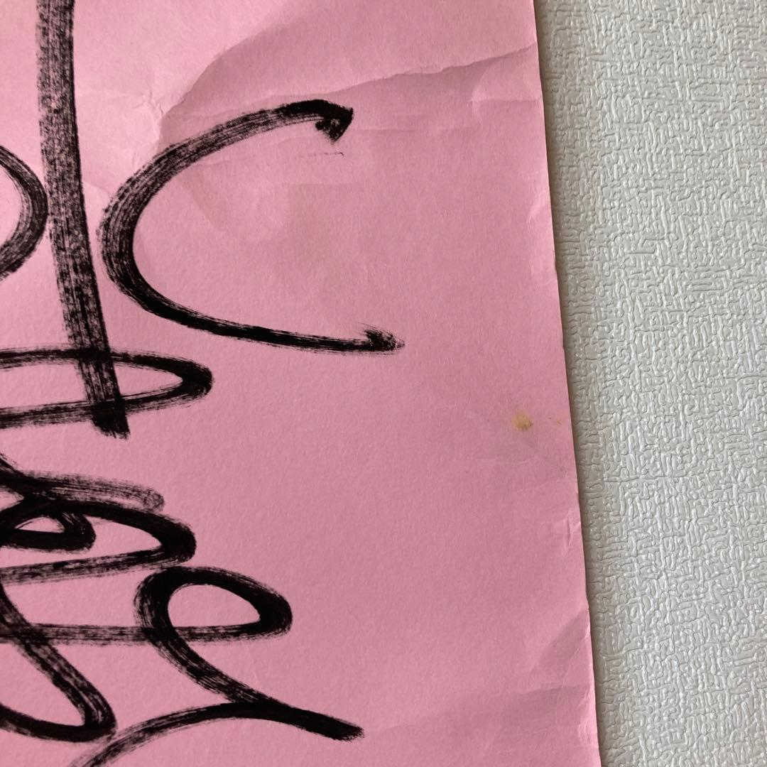 水森亜土　直筆 特大サイン入り絵　イラスト　実際の写真付き