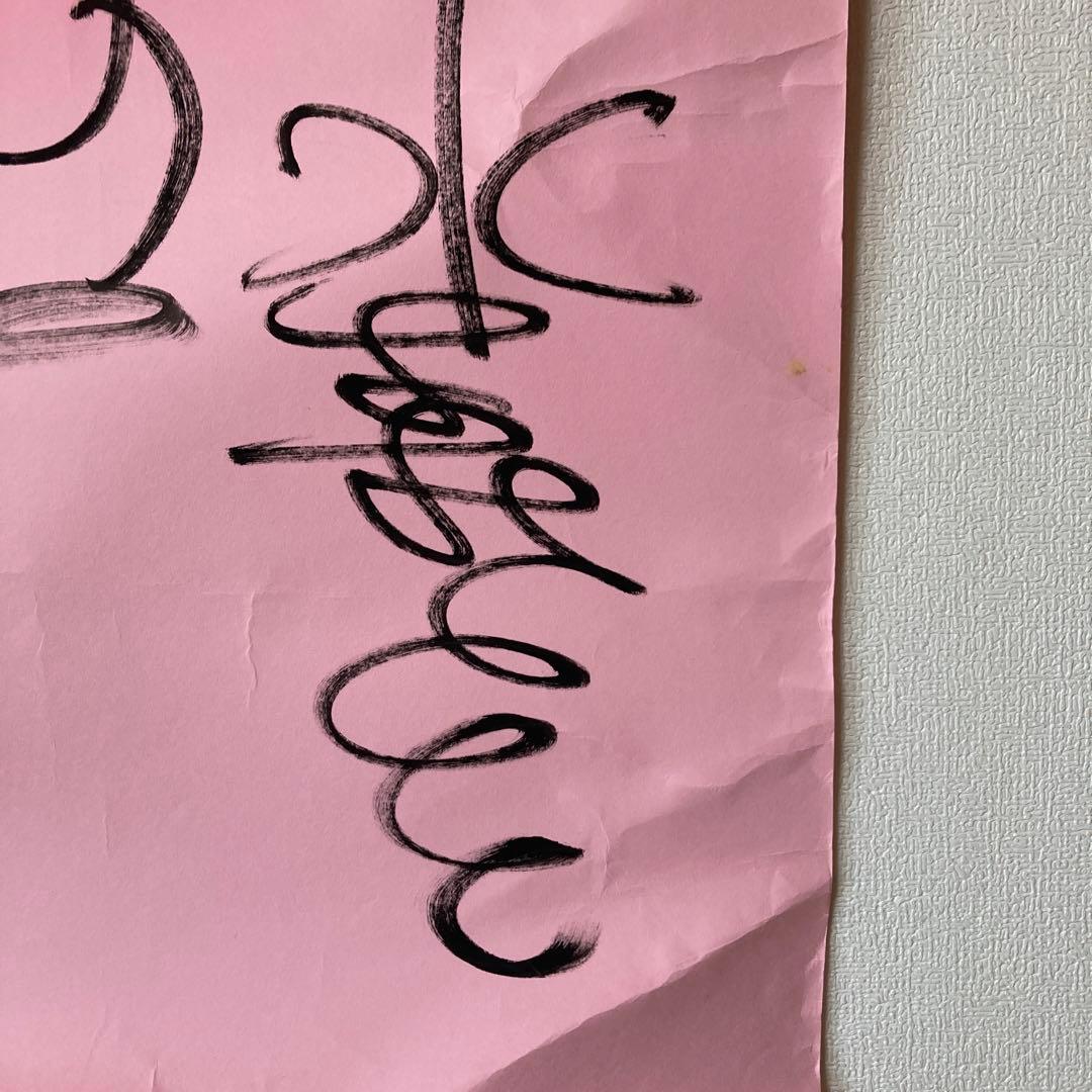 水森亜土　直筆 特大サイン入り絵　イラスト　実際の写真付き