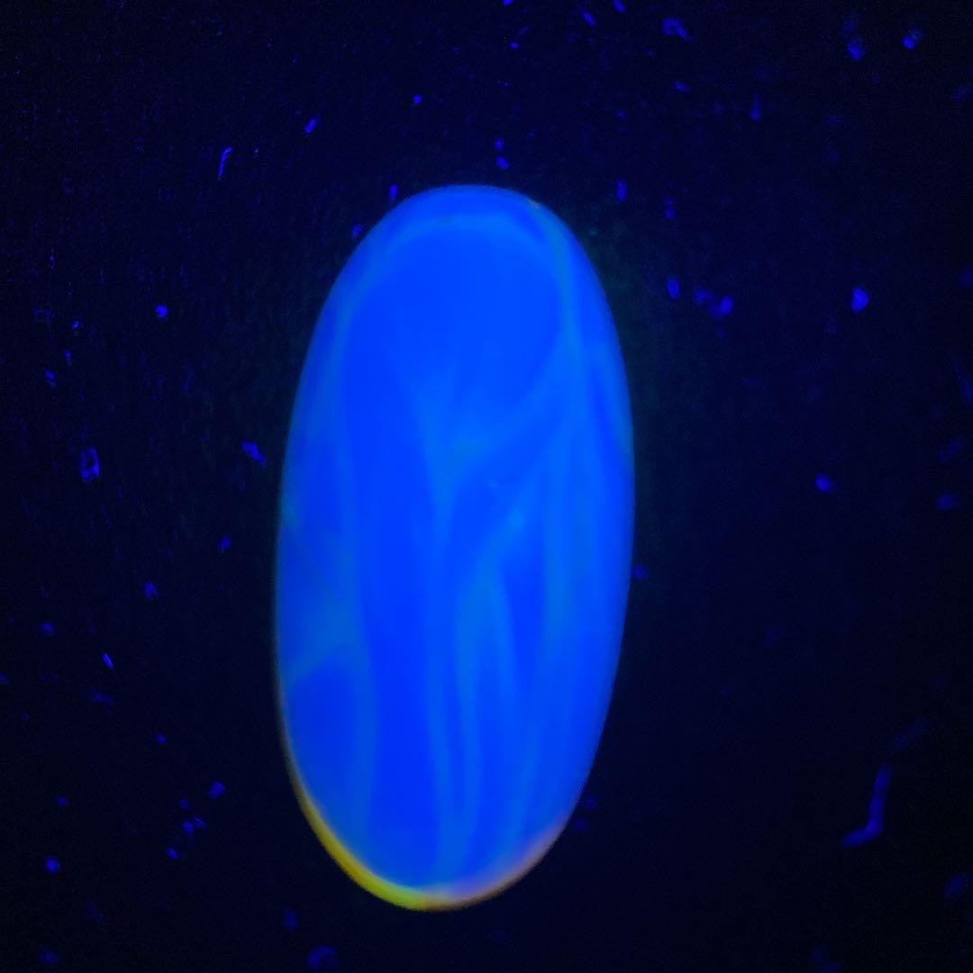 アンバー 琥珀 カメムシ 昆虫  コレクション 天然石 虫入り 価値上がる