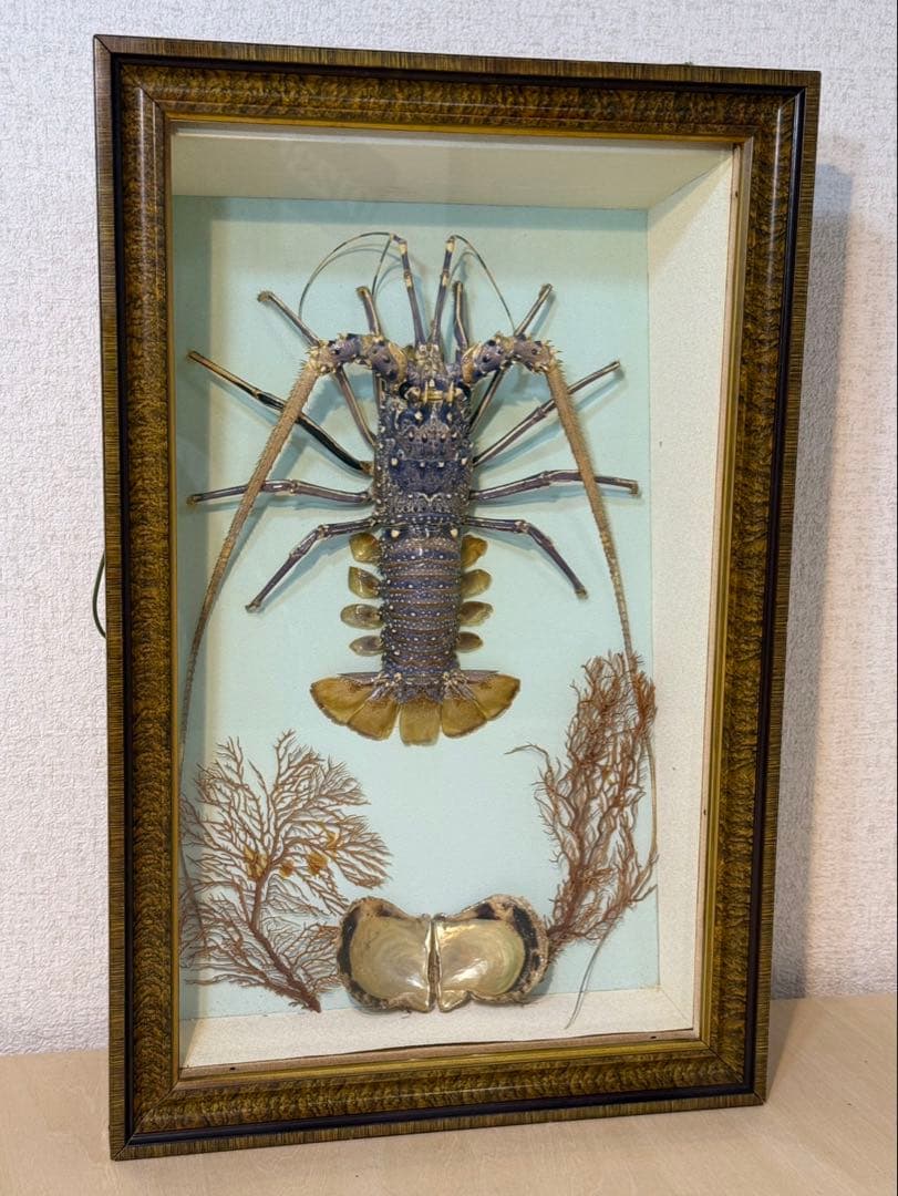 伊勢海老　置物　縁起物　海老