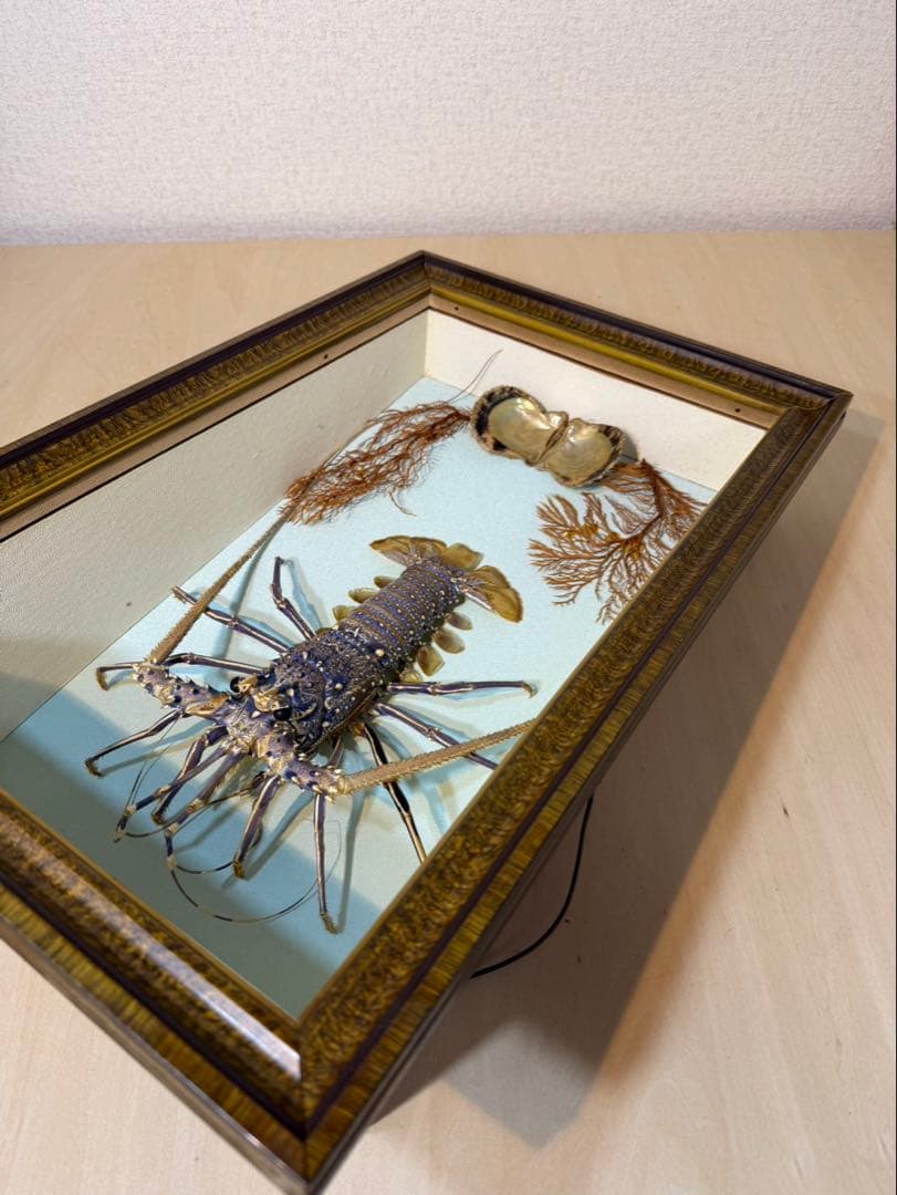 伊勢海老　置物　縁起物　海老