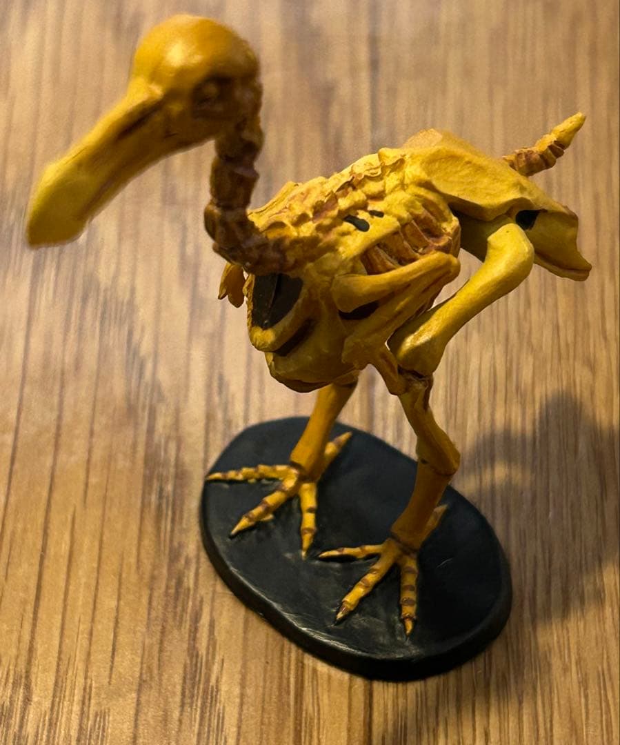 レッドデータアニマルズ　抽選品「ドードー　骨格バージョン」含むコンプリートセット