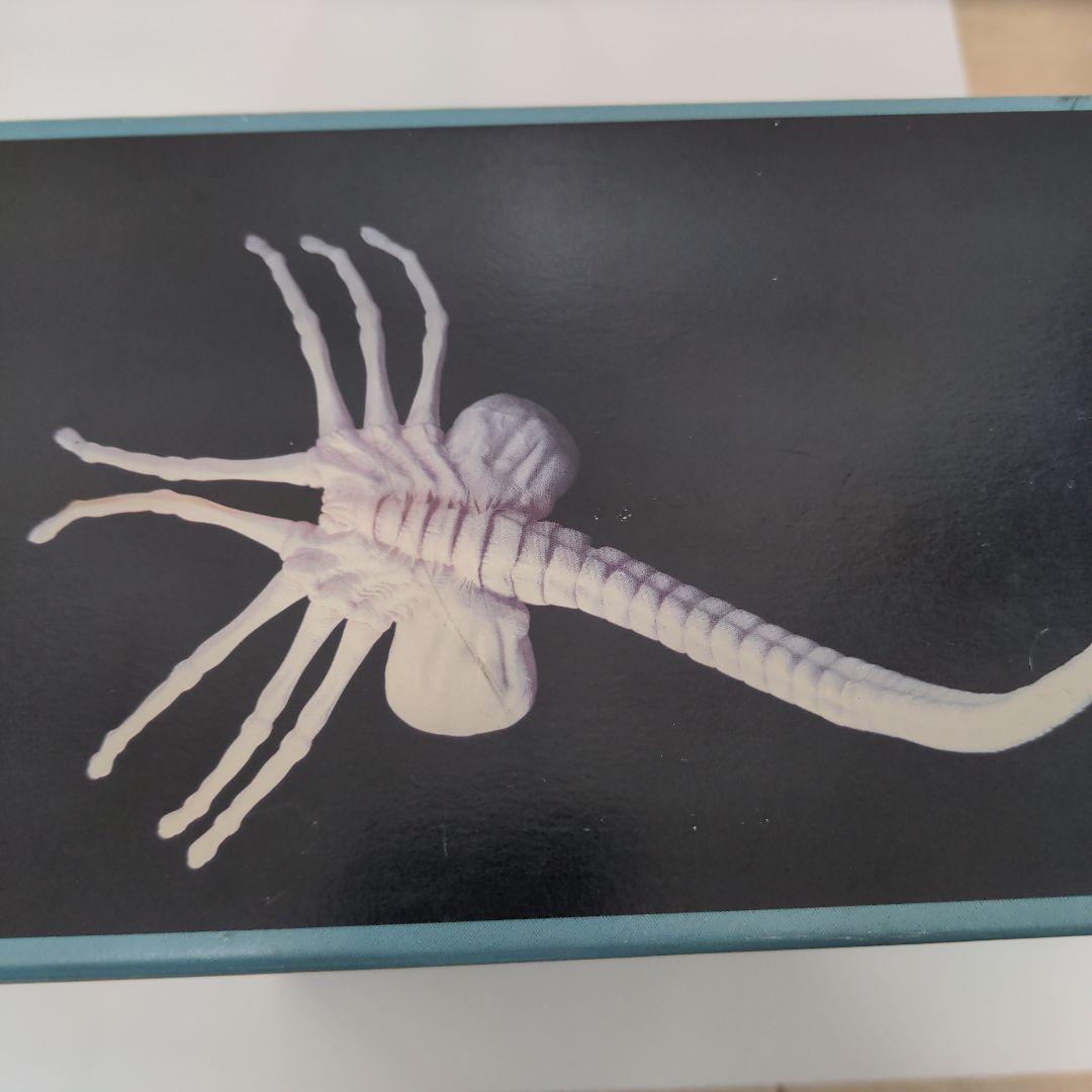 Face Hugger 1:1 フェイスハガーエイリアン　90s　実物大当時物