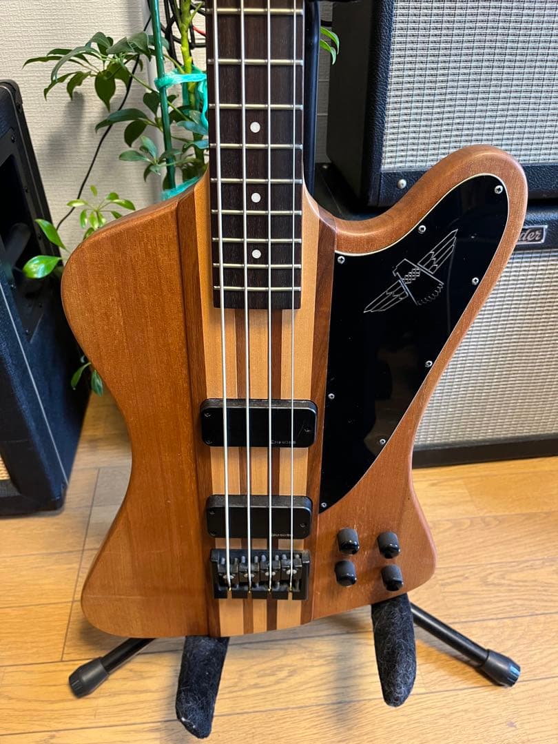ベース Epiphone Thunderbird Pro IV