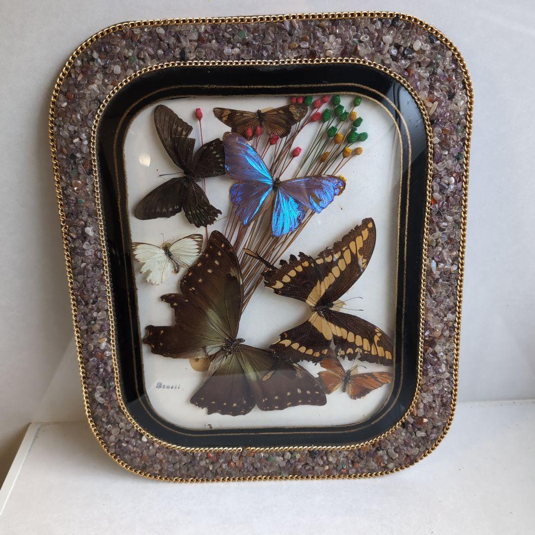 ブラジル 工芸品 蝶の標本 装飾石付きフレーム