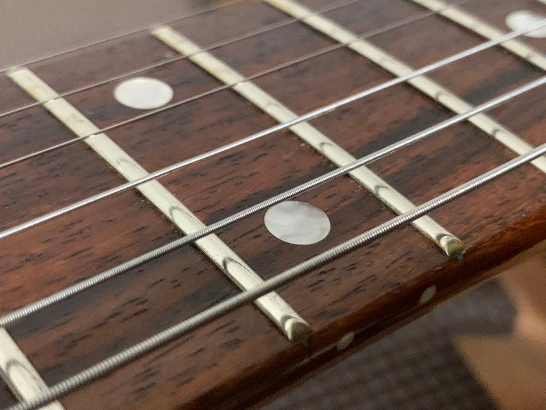 フェルナンデス FERNANDES ストラトキャスターモデル LE-1Z SSH