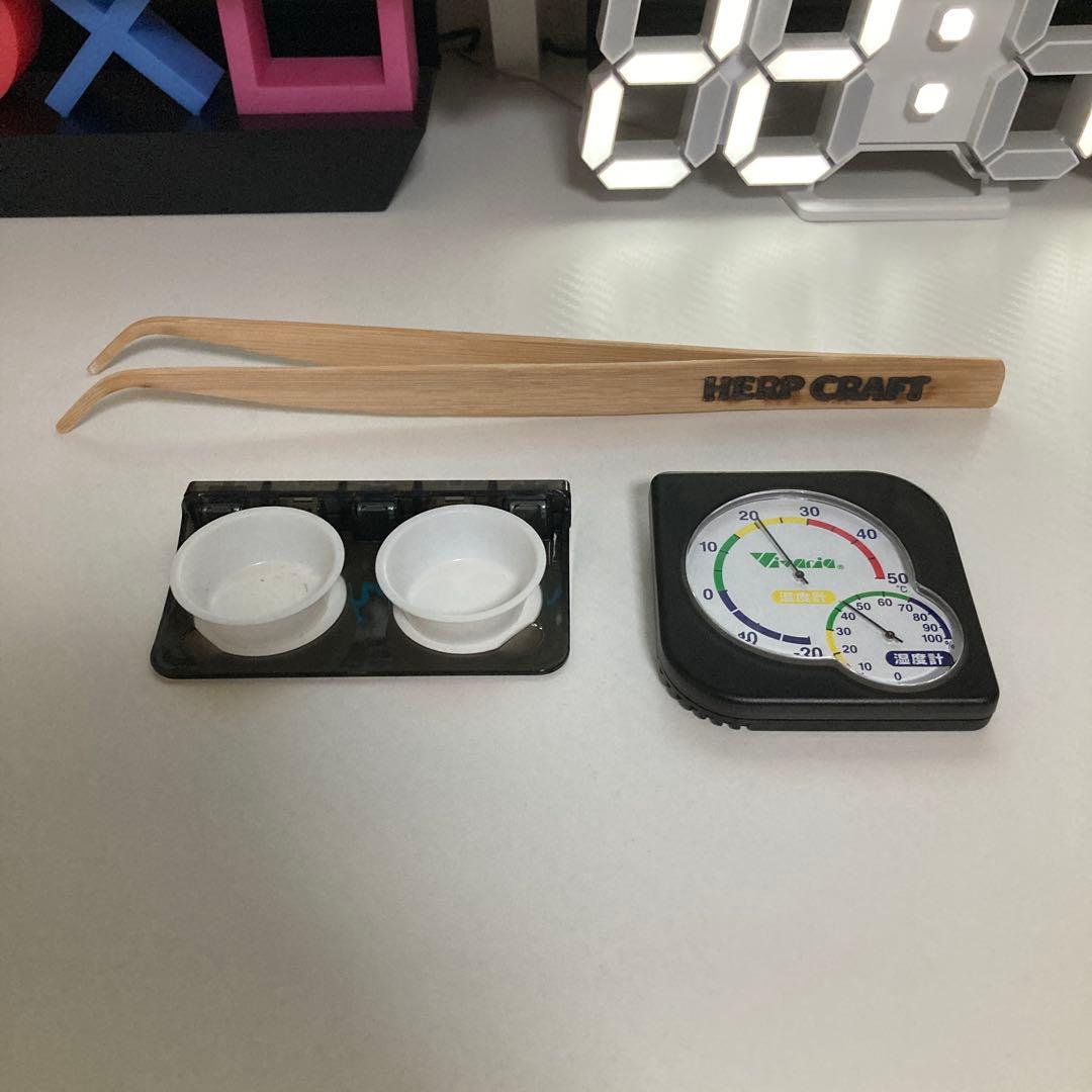 EXO TERRA ガラステラリウム 3045 飼育セット