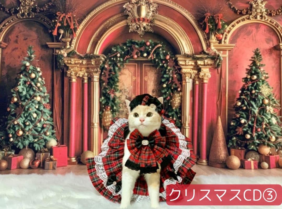 縦長　背景布×8+1　ペット撮影用ブース　トリミングチョーカー販売中　クリスマス