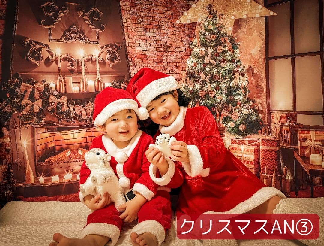 縦長　背景布×8+1　ペット撮影用ブース　トリミングチョーカー販売中　クリスマス