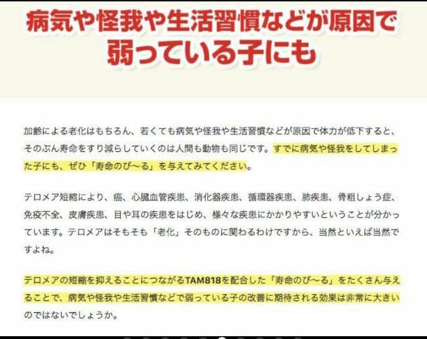 世界初！日本先行販売　ペット用テロメアのサプリ　普段のご飯に混ぜるだけ　3缶