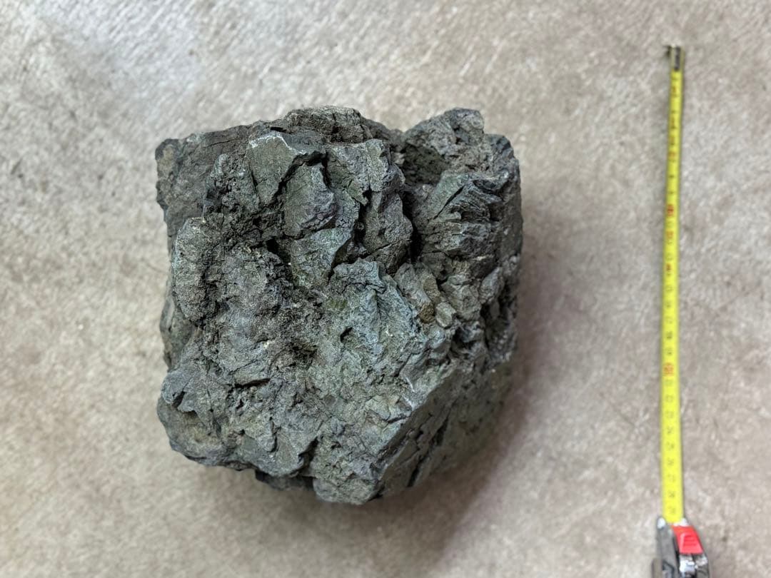 ADA 万天石 大一個