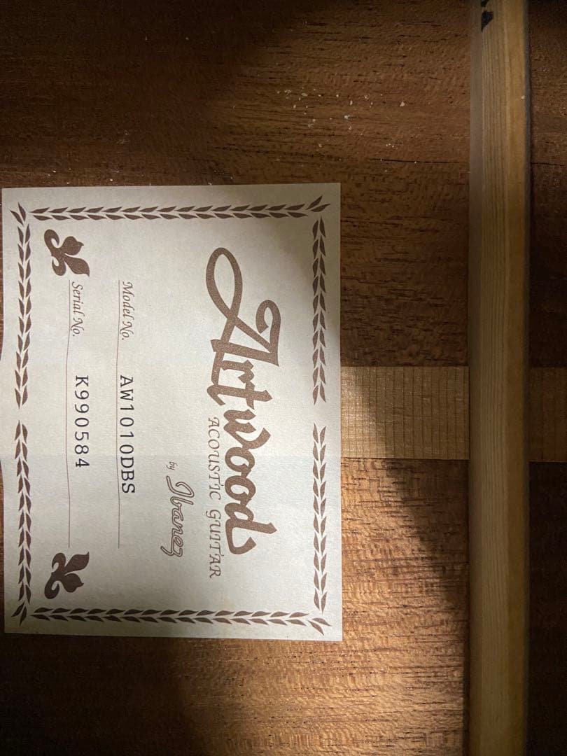 期間限定特価・アイバニーズ＜AW1010＞オール単板仕様・日本製