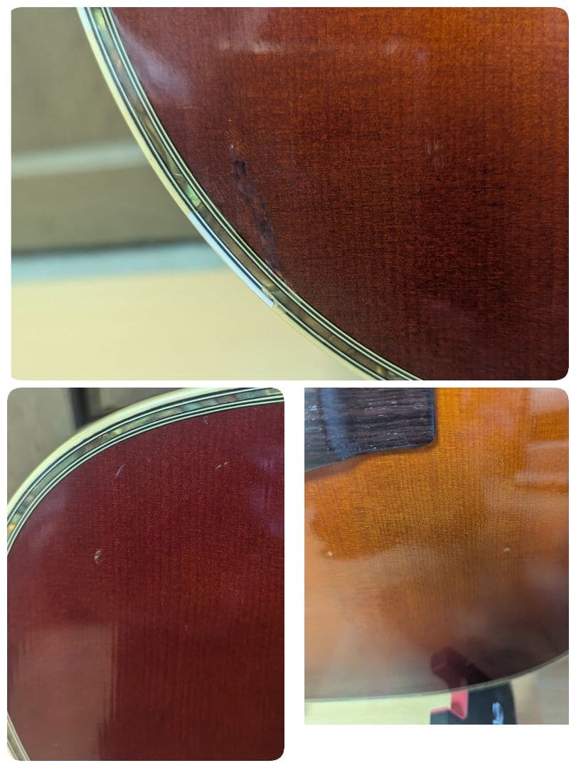 ♪訳あり！Morris　M-50F ハカランダ♪