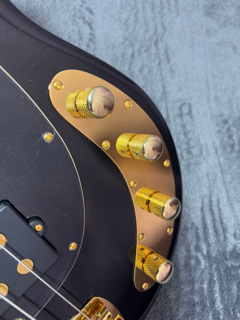 ベース MUSIC MAN StingRay Special