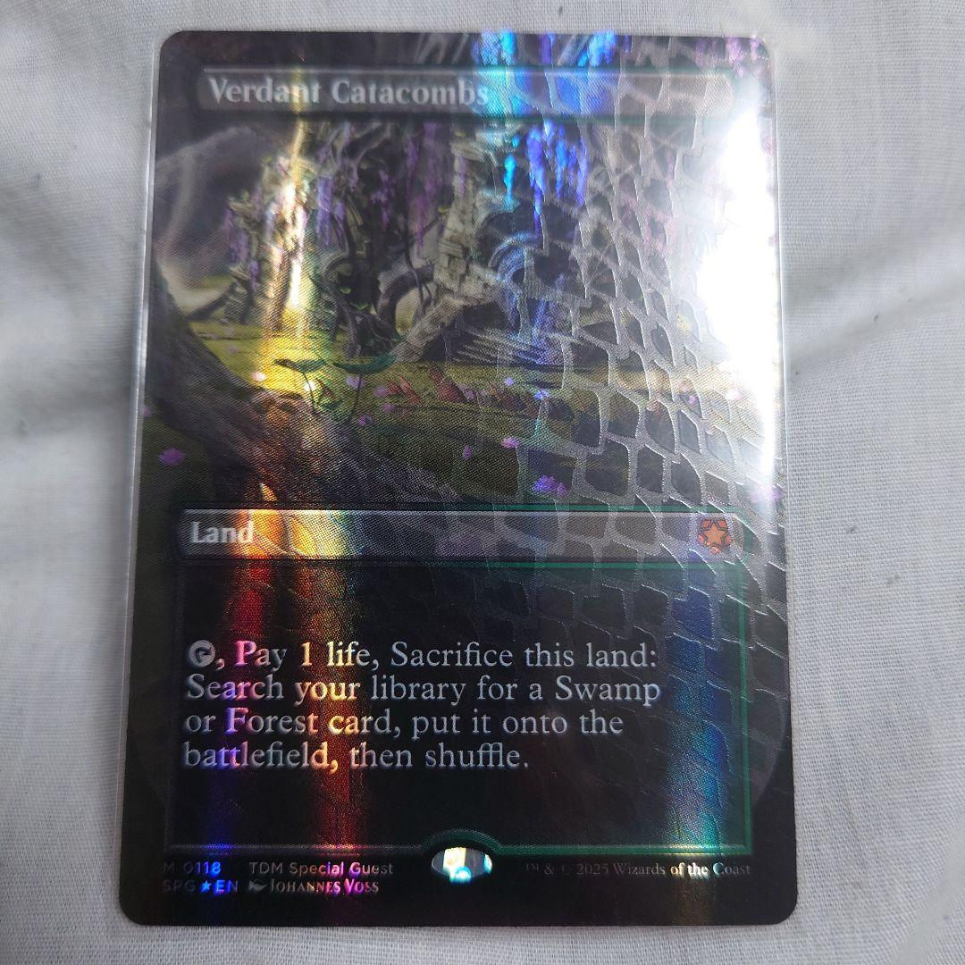 MTG 新緑の地下墓地 英語版 ドラゴンスケイルFOIL タルキール