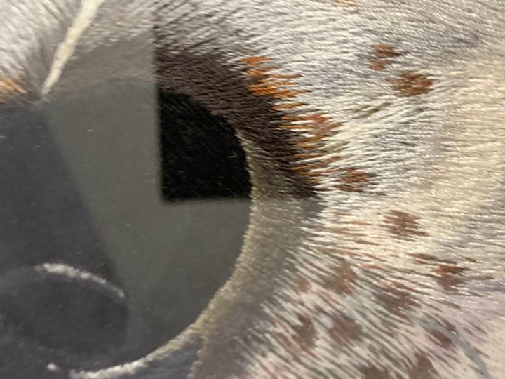 ビーグル　額装刺繍絵画