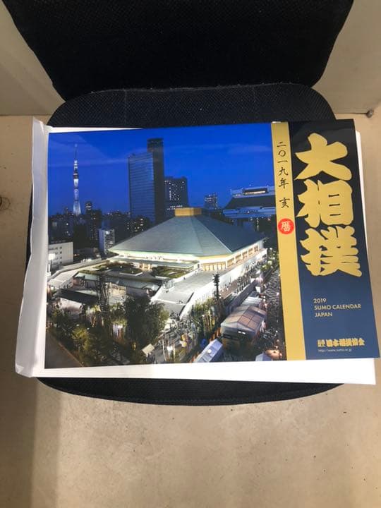 大相撲 2019年 カレンダー 壁掛け
