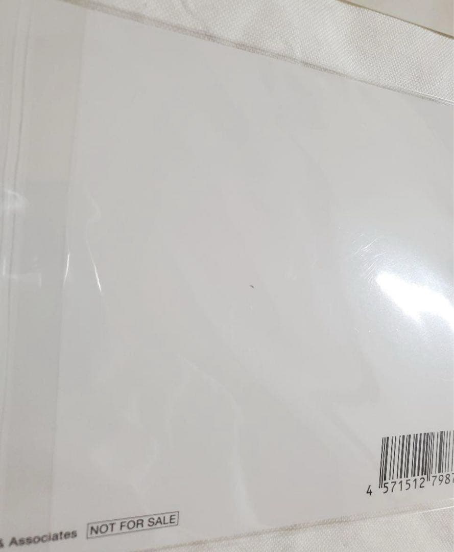 Man 宮舘涼太 スノチル ぬいぐるみ すのチル